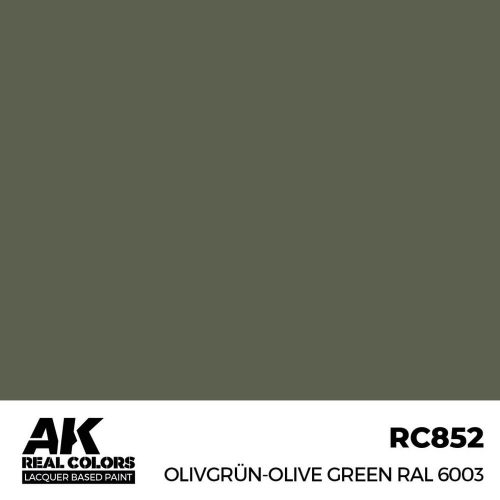 AK Interactive Olivgrün-Olive Green RAL 6003 Real Color 17 ml (RC852)