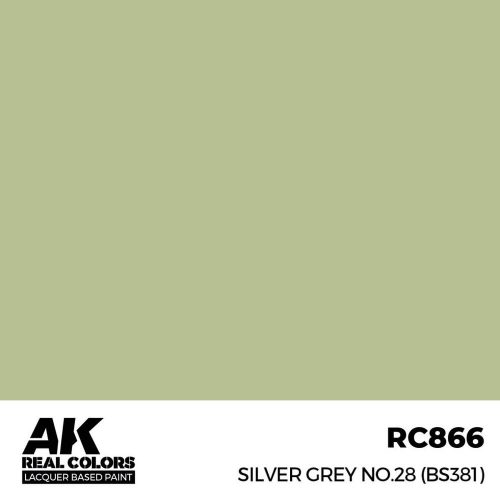 AK Interactive Silver Grey No28 (BS381) Real Color 17 ml (RC866)