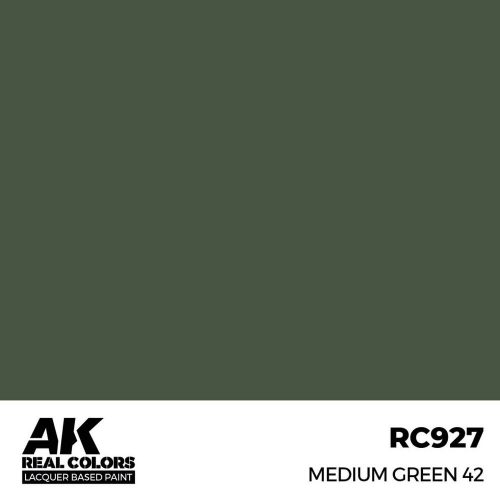 AK Interactive Medium Green 42 Real Color 17 ml (RC927)