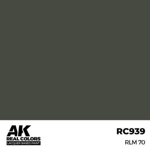 AK Interactive RLM 70 Real Color 17 ml (RC939)