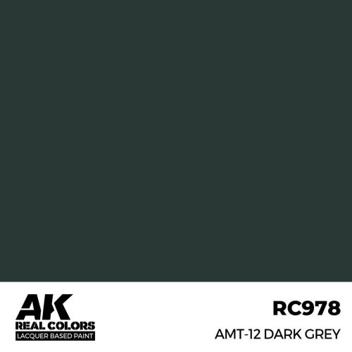 AK Interactive AMT-12 Dark Grey Real Color 17 ml (RC978)