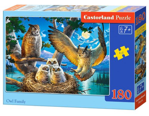 Castorland Owl Family, Puzzle 180db-os (B-018437)