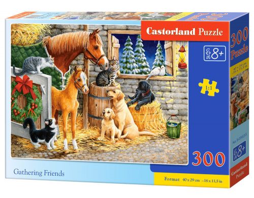 Castorland Gathering Friends, Puzzle 300 db-os (B-030255)