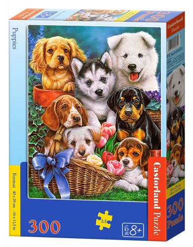 Castorland Puppies, Puzzle 300 db-os (B-030323)