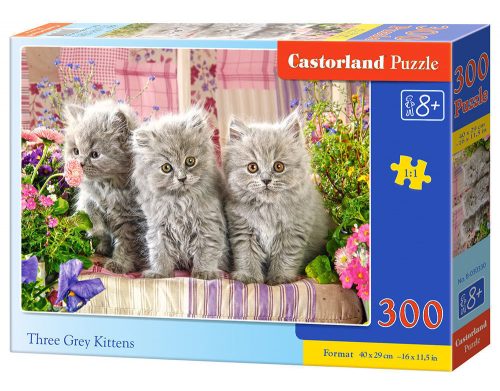 Castorland Three Grey Kittens, Puzzle 300 db-os (B-030330)