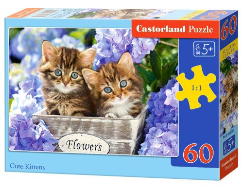 Castorland Cute Kittens, Puzzle 60 db-os (B-066087)