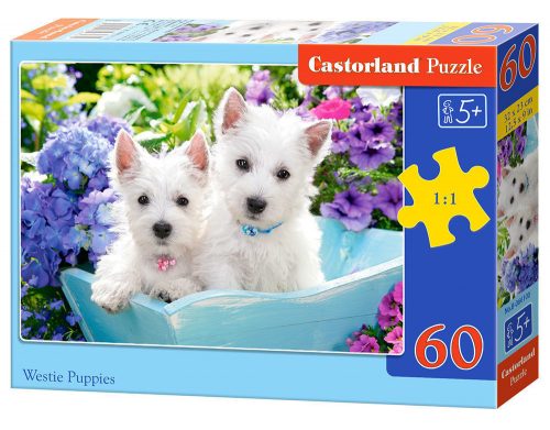 Castorland Westie Puppies, Puzzle 60 db-os (B-066100)