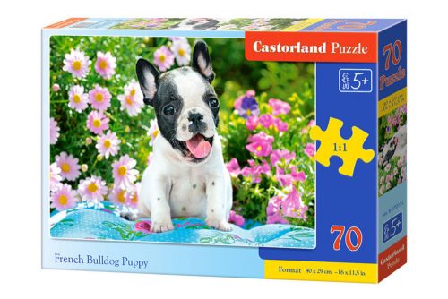 Castorland French Bulldog Puppy Puzzle 70 db-os (B-070152)