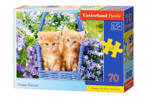 Castorland Ginger Kittens Puzzle 70 db-os (B-070169)