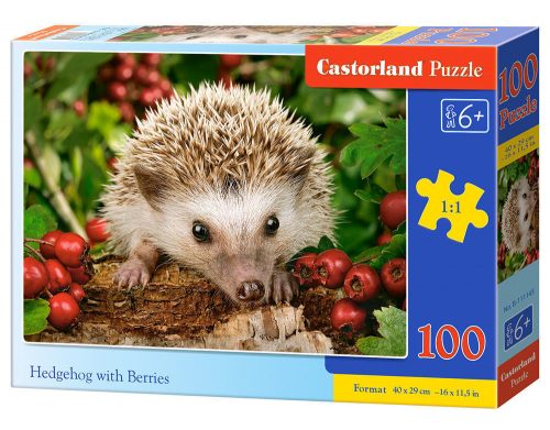 Castorland Hedgehog with Berries, Puzzle 100 db-os (B-111145)