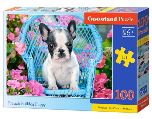 Castorland French Bulldog Puppy, Puzzle 100 db-os (B-111152)