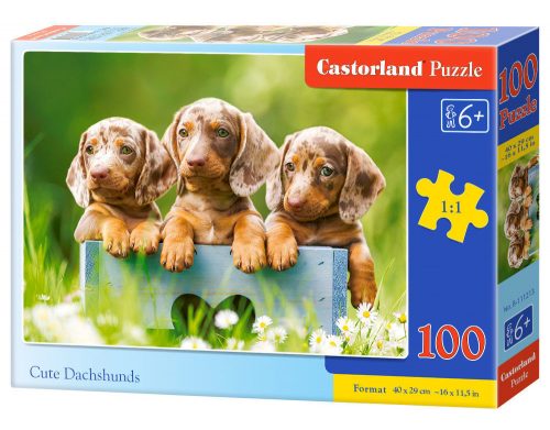 Castorland Cute Dachshunds, Puzzle 100 db-os (B-111213)