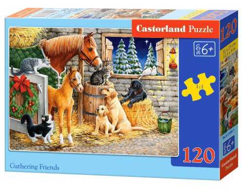 Castorland Gathering Friends, Puzzle 120 db-os (B-13340-1)