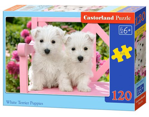 Castorland White Terrier Puppies, Puzzle 120 db-os (B-13494-1)