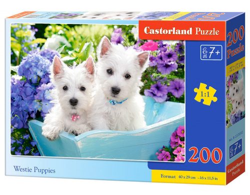 Castorland Westie Puppies, Puzzle 200 db-os (B-222032)