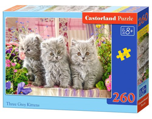 Castorland Three Grey Kittens, Puzzle 260 db-os (B-27491-1)