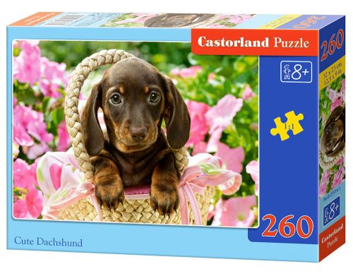 Castorland Cute Dachshund, Puzzle 260 db-os (B-27514-1)