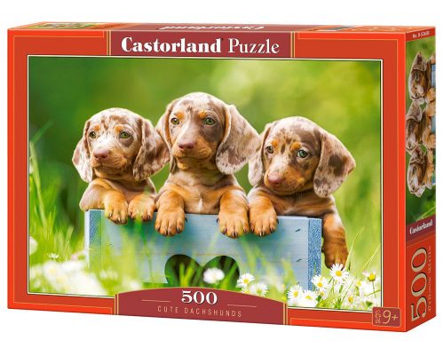 Castorland Cute Dachshunds Puzzle 500 db-os (B-53605)