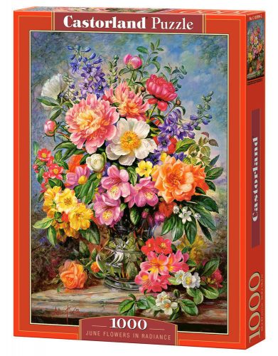 Castorland June Flowers in Radiance,Puzzle 1000 Tei (C-103904-2)