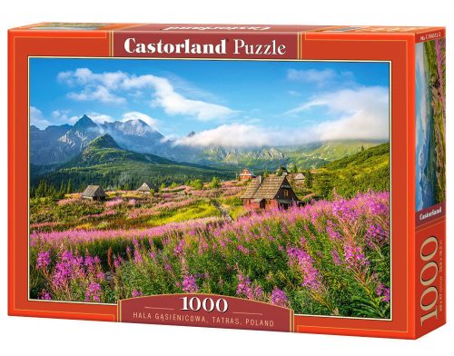 Castorland Hala Gsienicowa, Tatras, Poland, Puzzle 1000 db-os (C-104512-2)