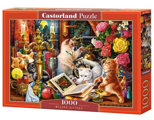 Castorland Wizard Kittens Puzzle 1000 db-os (C-104857-2)