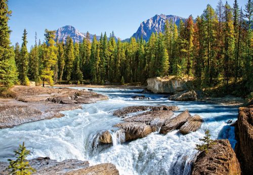 Castorland Athabasca River,Jasper Nat.Park,Ca,Puzzl (C-150762-2)