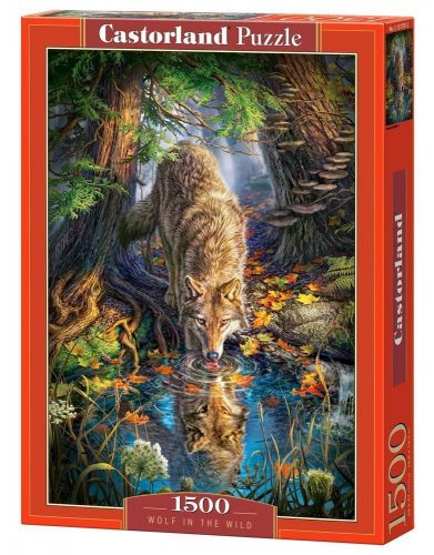 Castorland Wolf in the Wild, Puzzle 1500 db-os (C-151707-2)