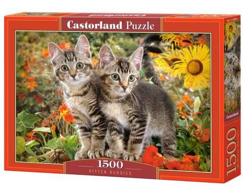 Castorland Kitten Buddies, Puzzle 1500 db-os (C-151899-2)