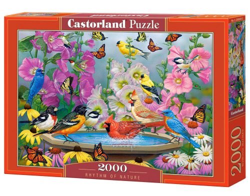 Castorland Rhythm of Nature Puzzle 2000 db-os (C-200818-2)