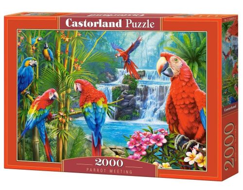 Castorland Parrot Meeting Puzzle 2000 db-os (C-200870-2)