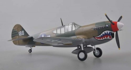 Easy Model P-40 China 1945 1:48 (39313)