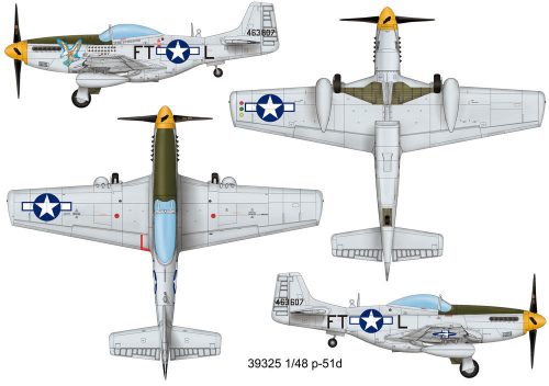 Easy Model P-51D  (39325)