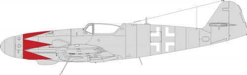 Eduard Bf 109K-4 tulip pattern & national insignia 1:48 (EX1010)