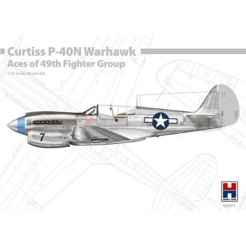 Hobby 2000 P-40N Warhawk Aces of The 49th Fighter Group 1:48 (48001)