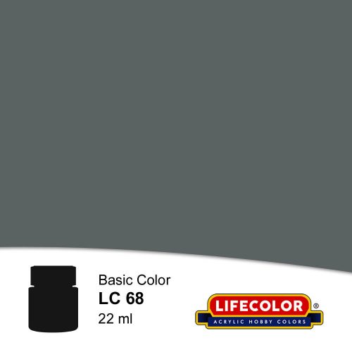 Lifecolor Gloss Light Grey Acrylic Paint 22 ml (NLC68)