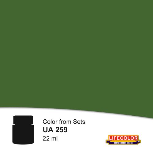 Lifecolor 4BO Ground Colour Acrylic Paint 22 ml (NUA259)