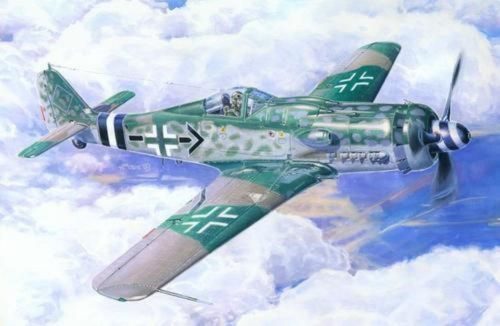 Mistercraft Fw-190D-9 Michaelski 1:72 (C-09)